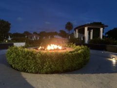 garden_night